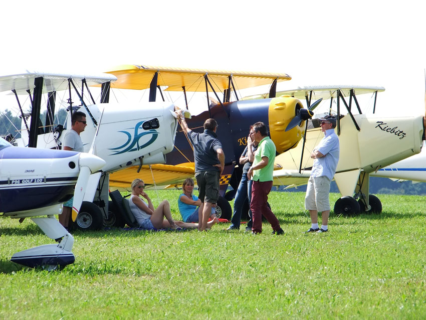 Landen und entspannen: Kiebitz-Flieger unter sich