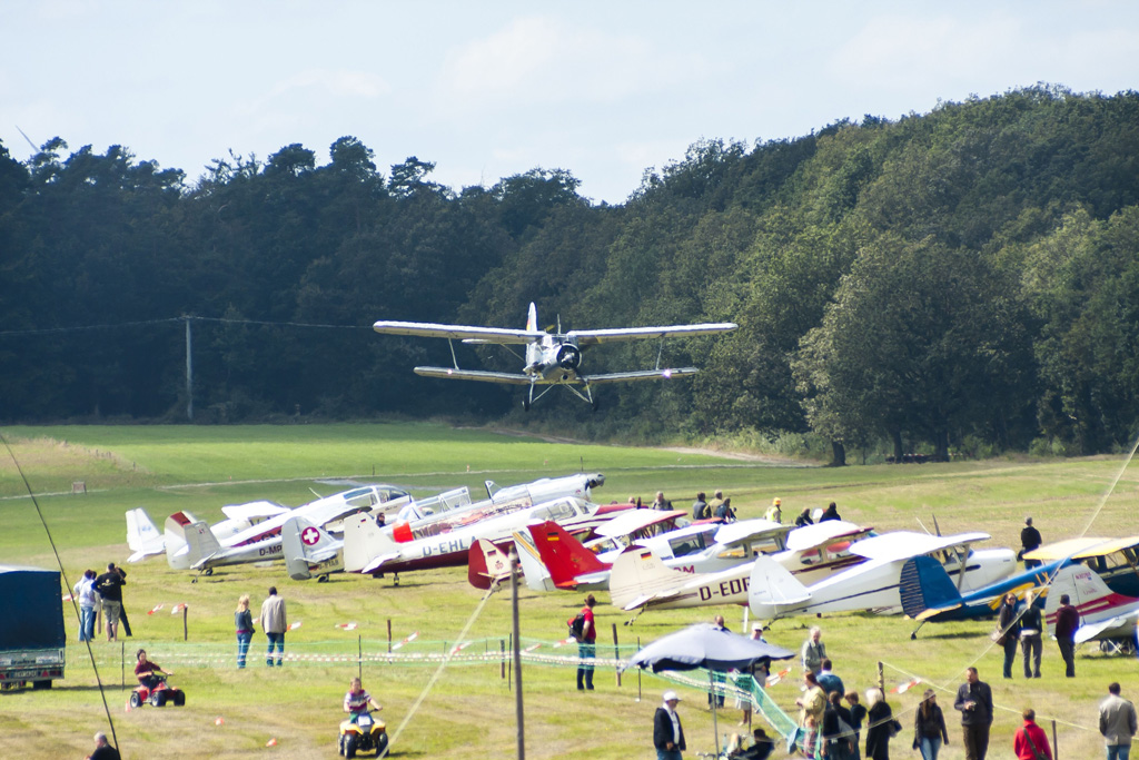 Eine Antonov AN-2 im Landeanflug