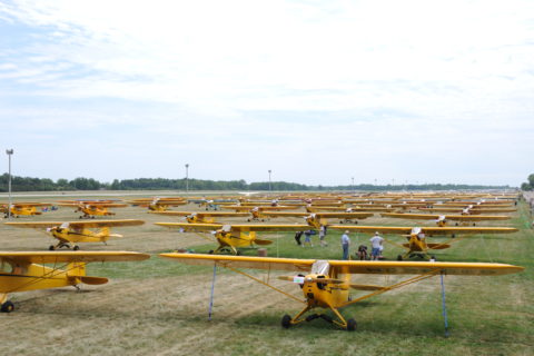 Massenhaft Piper Cub zum 75. Jubiläum