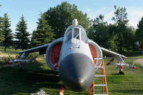 3, 2, 1, deins? Sea Harrier zu versteigern (ohne Katze)