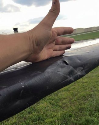 Unschuldig: Vogelschlag hat die Delle im Flügel einer Piper PA-23 verursacht