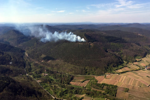 Waldbrände suchen in Rheinland-Pfalz