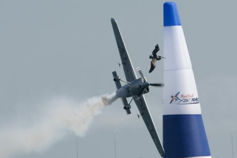 Arch kollidiert in San Diego mit einem Pelikan