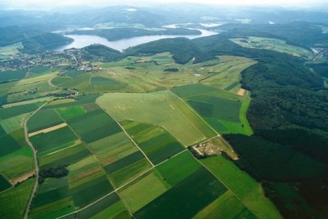 Luftrecht im Ausland: Grenzenloser Flugspaß?