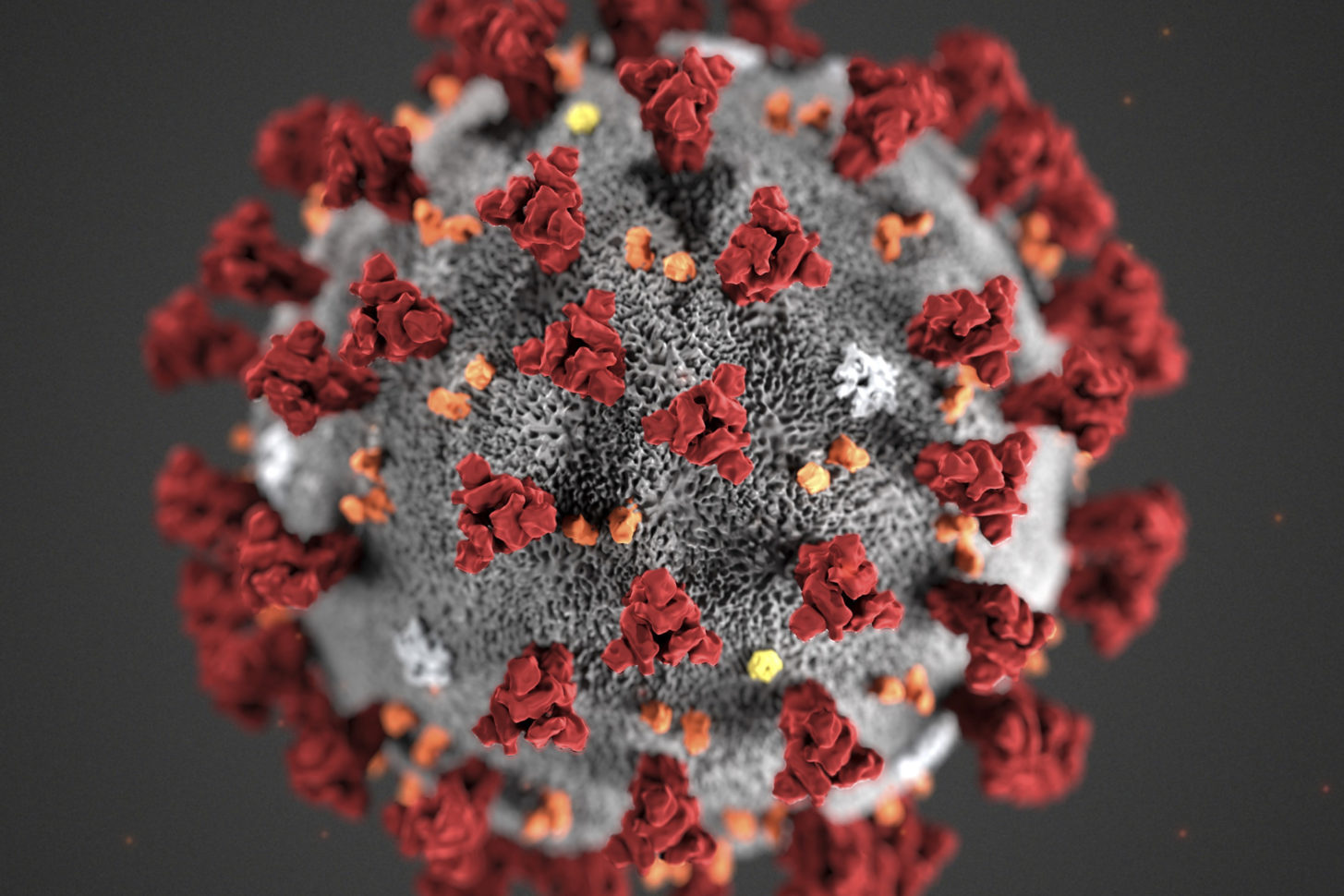 Corona Virus