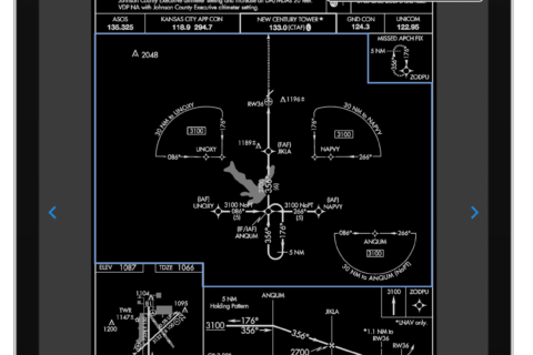 Garmin Pilot Nightmode