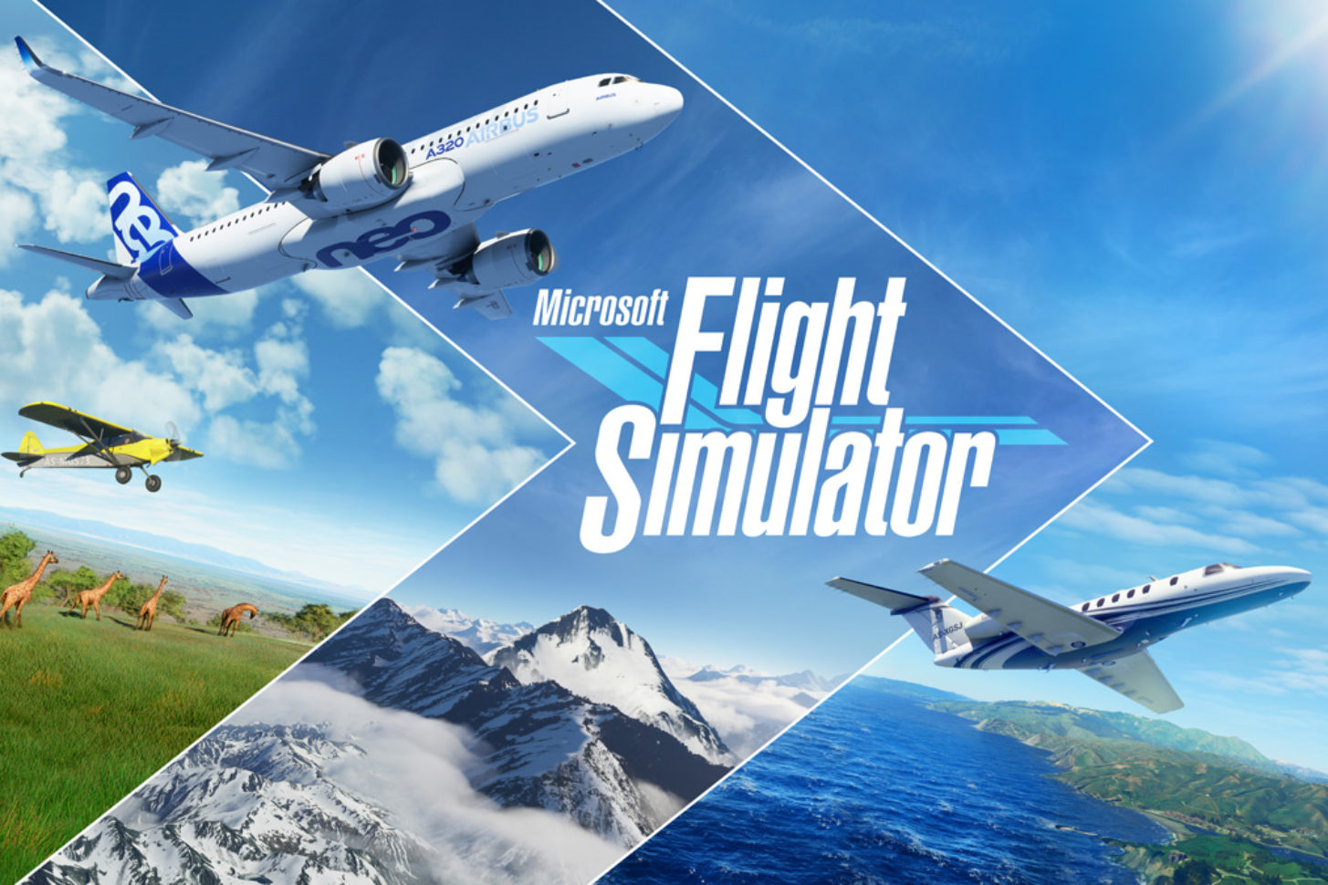 Microsoft Flight Simulator