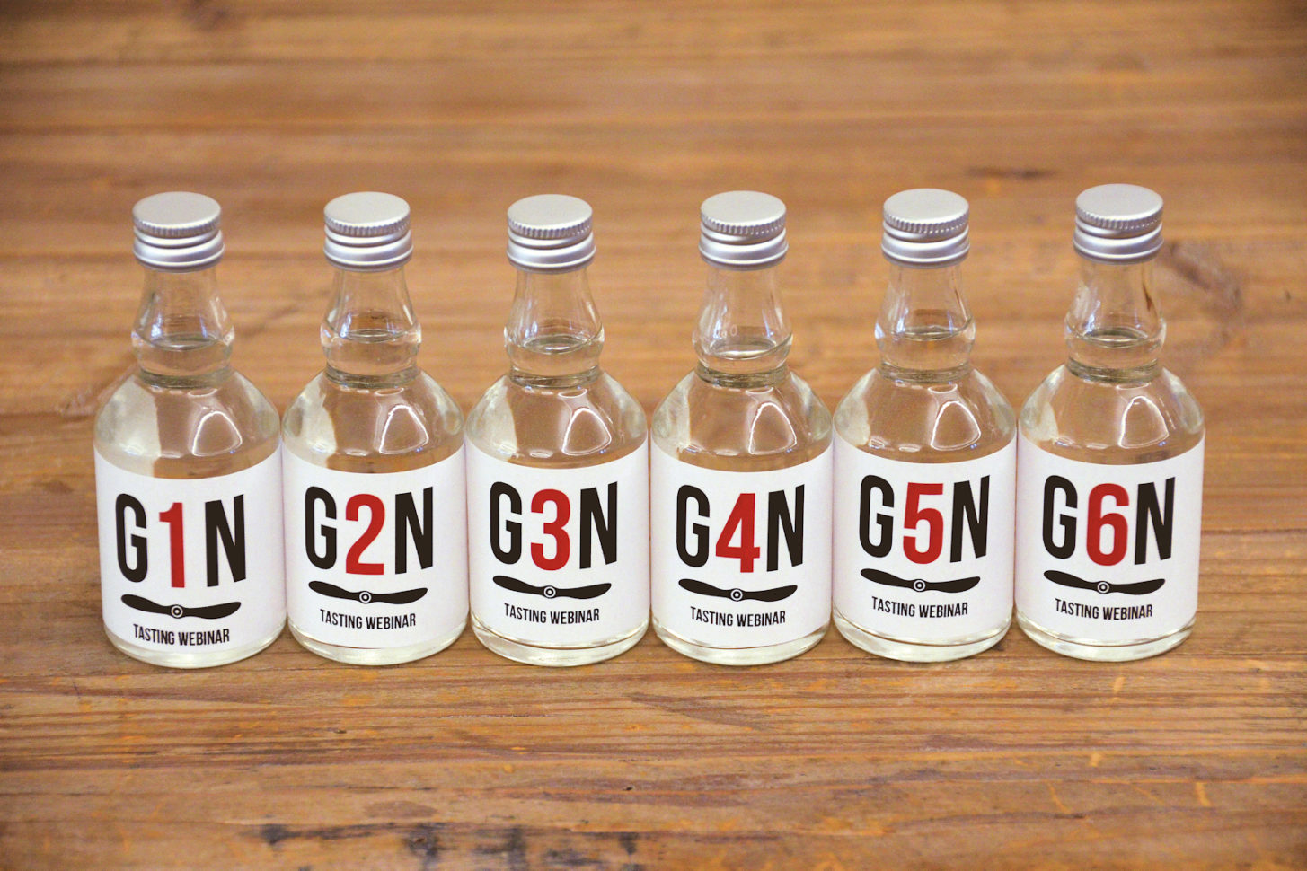 Gin-Tasting