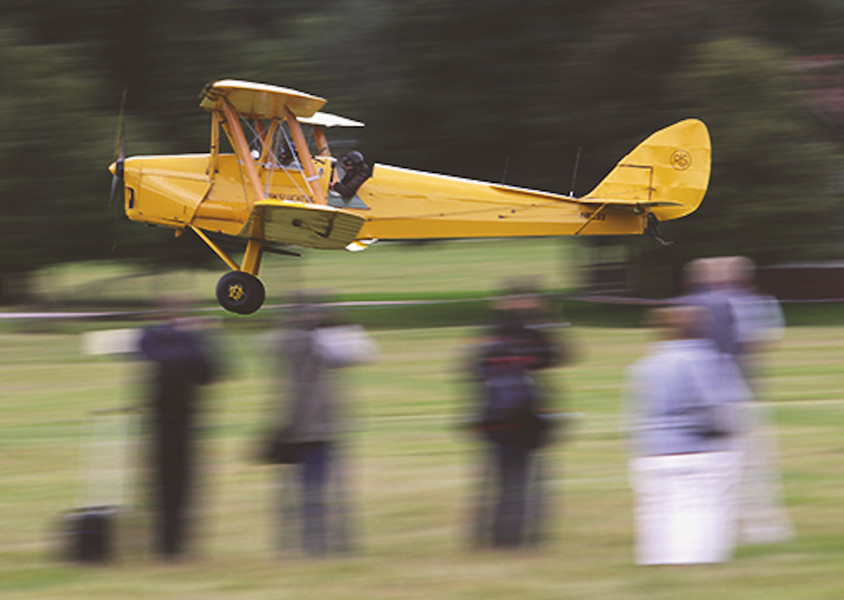 Tiger Moth