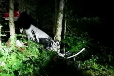 Flugzeugabsturz bei Neureichenau: Pilot und Begleiter tot
