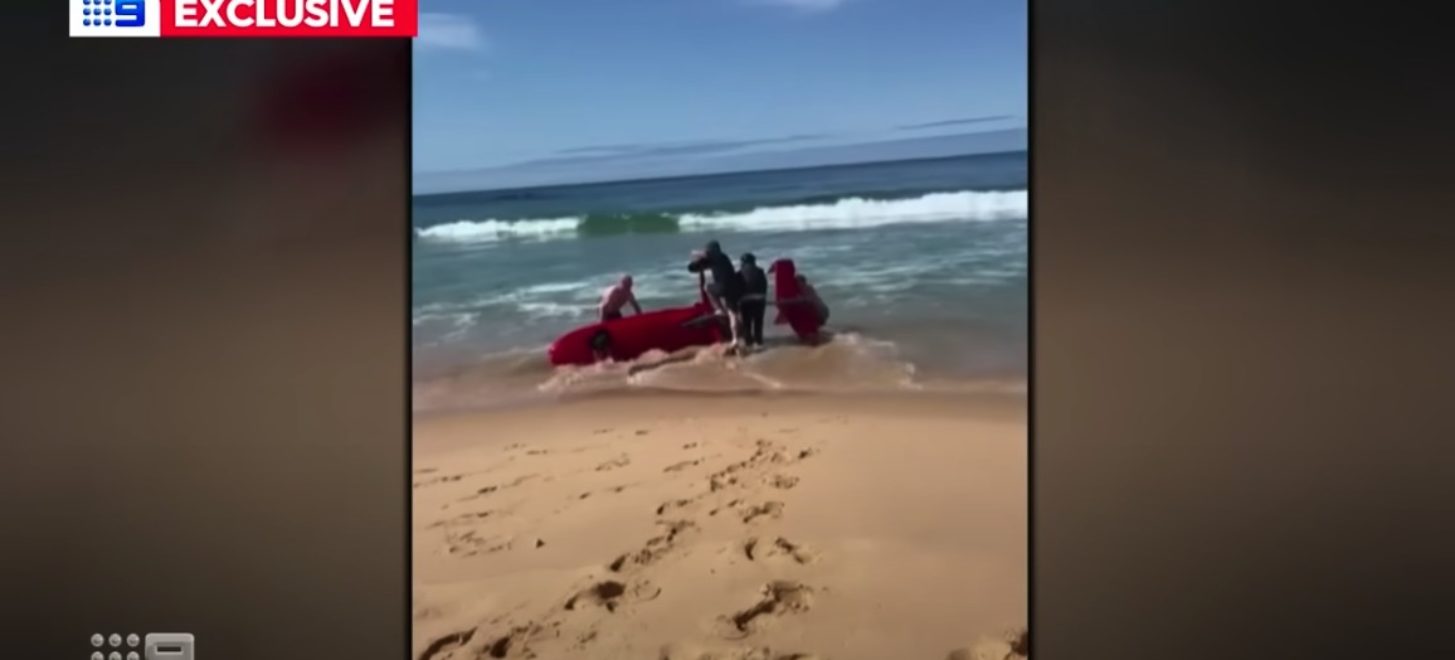 Video: Gyrokopter warnt Surfer vor Hai und stürzt dann ab
