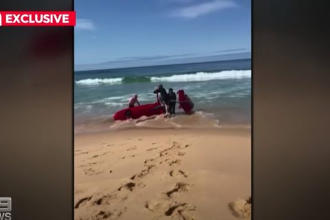 Video: Gyrokopter warnt Surfer vor Hai und stürzt dann ab