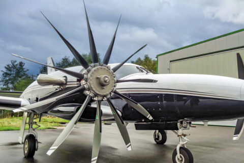 Elf-Blatt-Prop