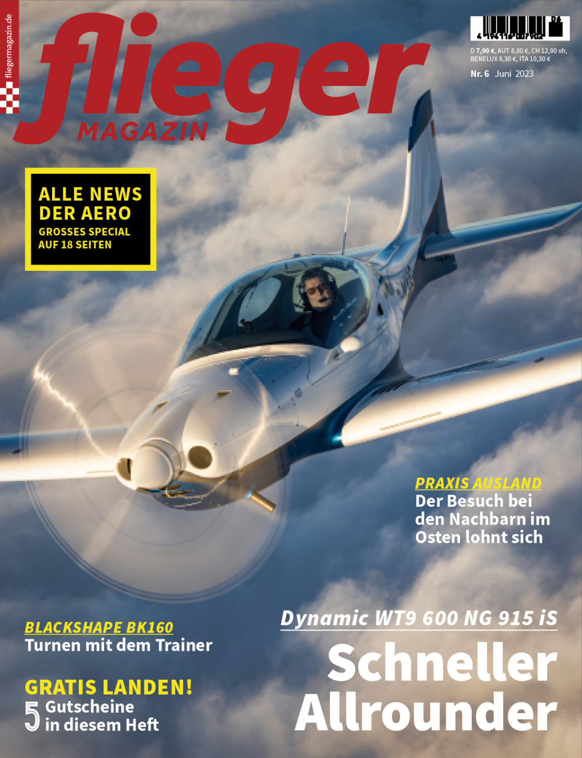 fliegermagazin 6/2023: Dynamic WT9 600 NG 915 iS
