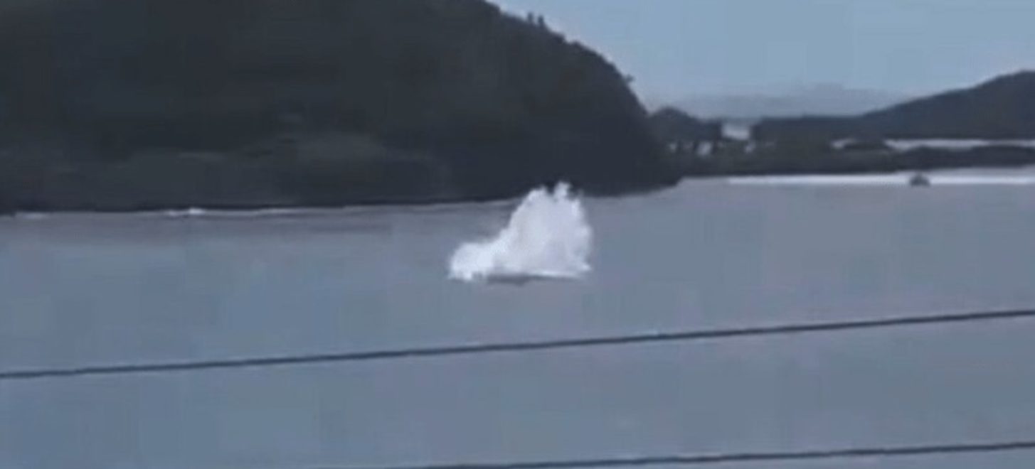 Bellanca 17-30A Super Viking stürzt ins Meer: Schauspieler Christian Oliver tot