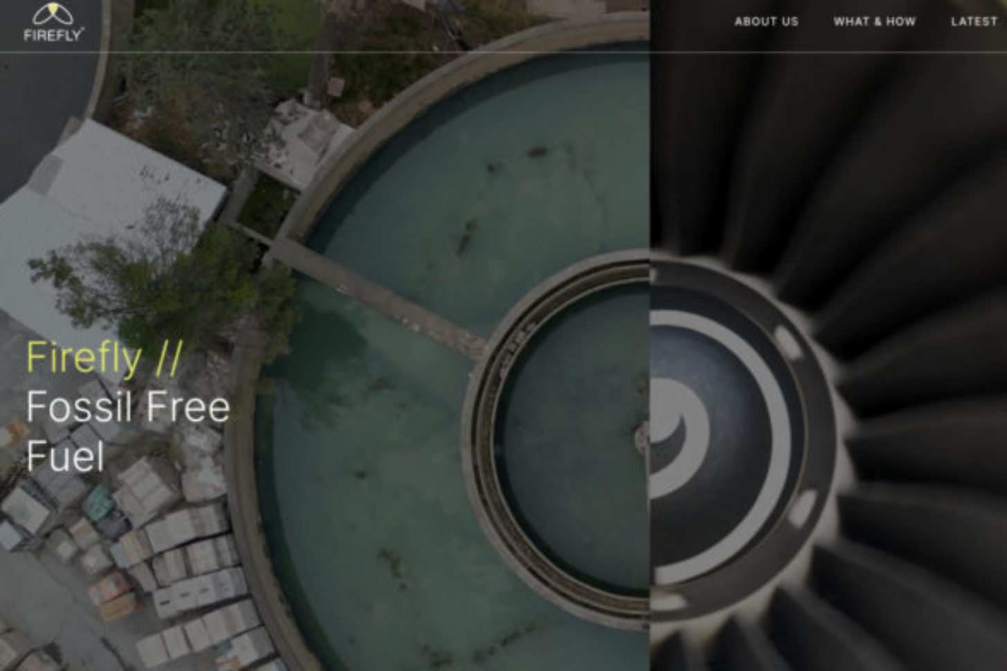 Website firefly.uk