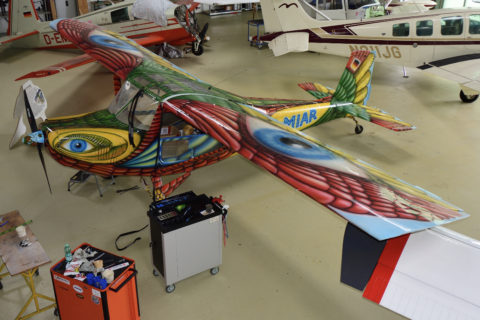Wild Thing WT01 mit Paradiesvogel Airbrush.