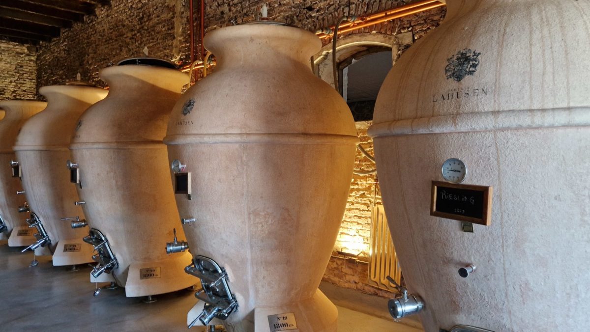 Bodega Tour durch Uruguay