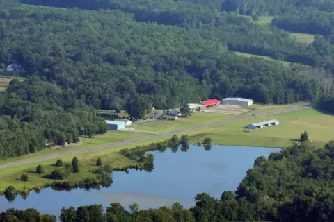 Schildkröte auf der Landebahn: Zwei Tote bei Vorfall in North Carolina